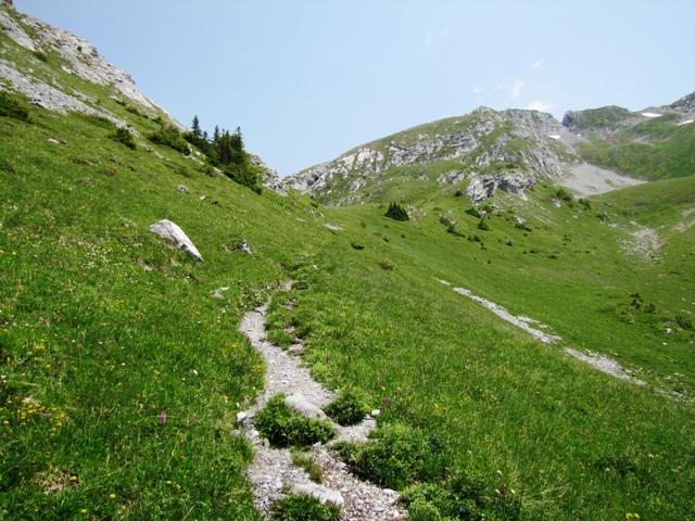 jetzt beginnt der Gegenanstieg auf die Scheidegg