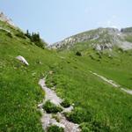 jetzt beginnt der Gegenanstieg auf die Scheidegg