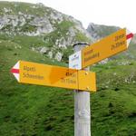 Wegweiser auf die Scheidegg 1991 m.ü.M. es geht weiter nach Schwenden