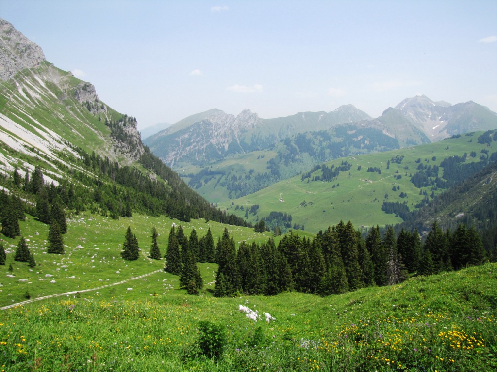 der Weg führt uns nun weiterhin immer abwärts nach Schwenden