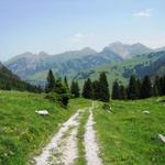 auf einer Kiesstrasse geht es weiter abwärts