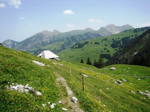 wir haben die Alphütte auf 1626 m.ü.M. erreicht