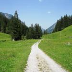 kurz vor Senggi - Grimmialp führt der Wanderweg am Senggibach entlang