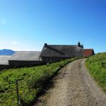 nach ein paar Schritten haben wir die Alphütten auf der Vazer Alp erreicht