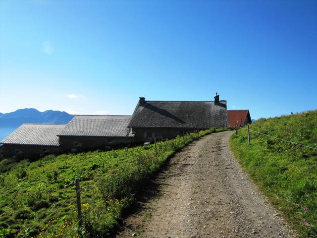 nach ein paar Schritten haben wir die Alphütten auf der Vazer Alp erreicht