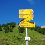 beim Wegweiser auf der Vazer Alp 1758 m.ü.M.