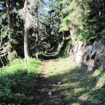 wir haben den unteren Weg über Alp Neusäss gewählt