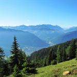 während dem laufen konnten wir eine schöne Aussicht auf Chur und Richtung Lenzerheide geniessen