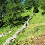 bei der Batänjer Alp überquert man eine schöne Trockenmauer
