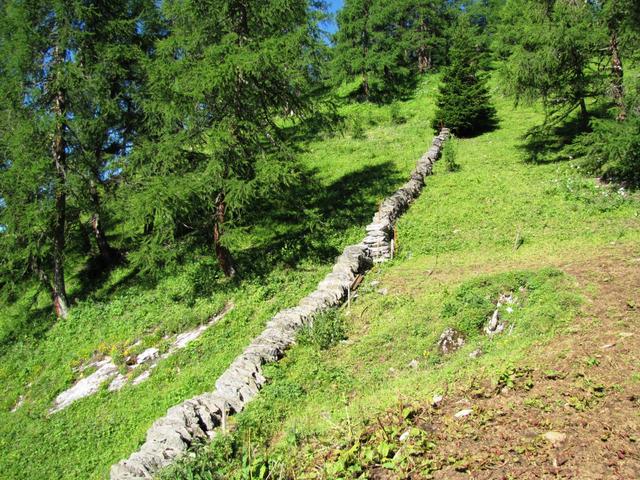 bei der Batänjer Alp überquert man eine schöne Trockenmauer