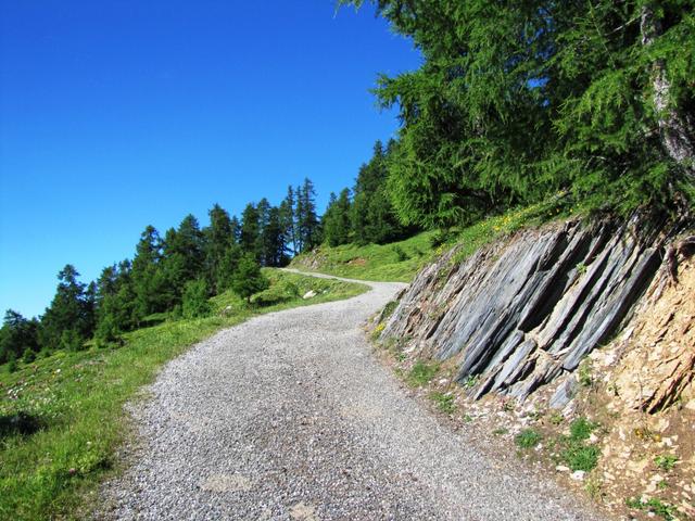 die Wanderung führt uns nun über eine Alpstrasse gemächlich aufwärts