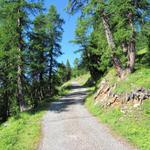 die Gegend bleibt trotz der Strasse weiterhin schön