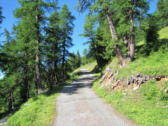 die Gegend bleibt trotz der Strasse weiterhin schön