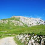 plötzlich taucht vor uns der Haldensteiner Calanda (unser Ziel) auf