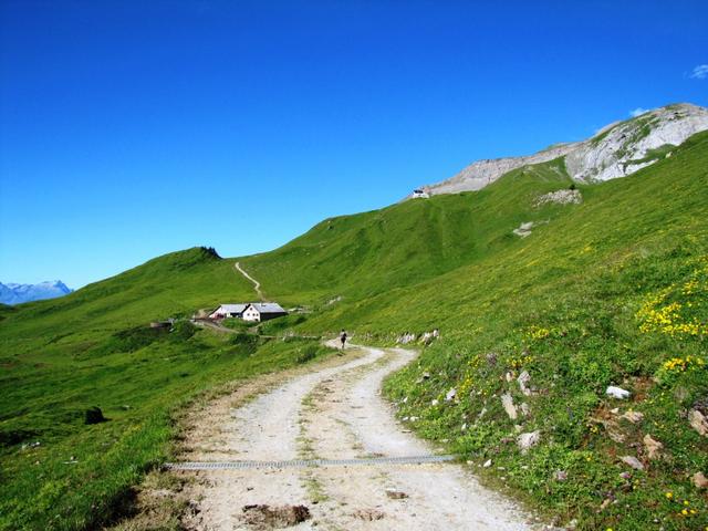 am Horizont die Alphütten von Altsäss 1973 m.ü.M.