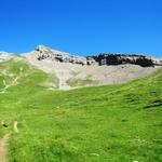 an der orographisch linken Seite des Alpbach wandern wir zu den Weideböden ins Parzams