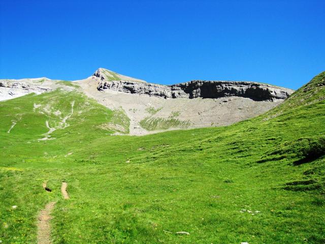 an der orographisch linken Seite des Alpbach wandern wir zu den Weideböden ins Parzams