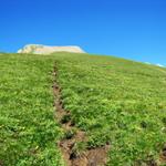 bei Punkt 2236 m.ü.M. wird der Bergweg steil, aber nicht ausgesetzt