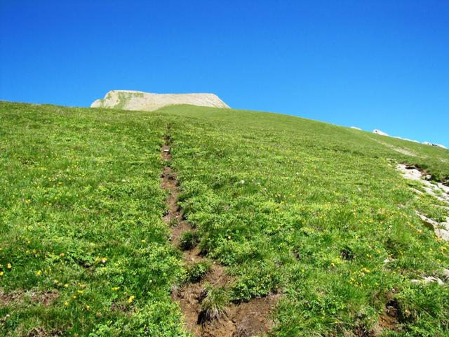 bei Punkt 2236 m.ü.M. wird der Bergweg steil, aber nicht ausgesetzt