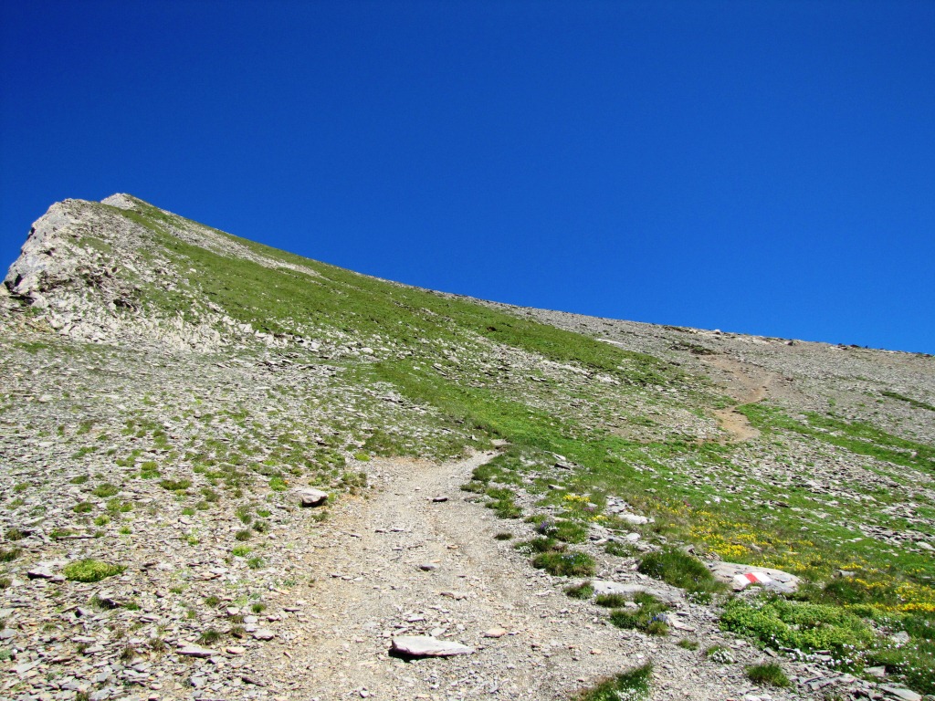 der Bergweg führt nun zum Grat des Haldensteiner Calanda