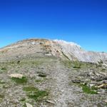 auf dem Grat des Haldensteiner Calanda