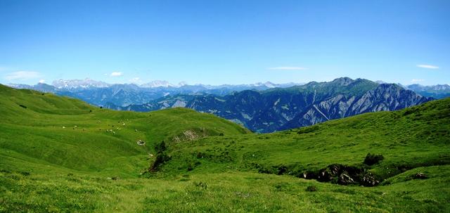 Breitbildfoto bei Chrüzboden. Am Horizont die gewaltige Kalkmauer des Rätikon. Dort waren wir auch schon