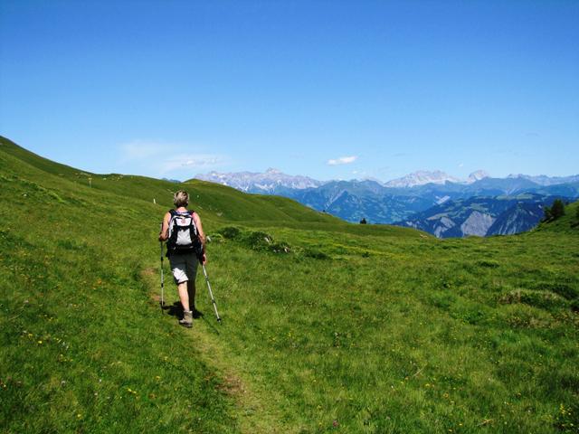 über Alpweiden auf dem Weg nach Wolfegg