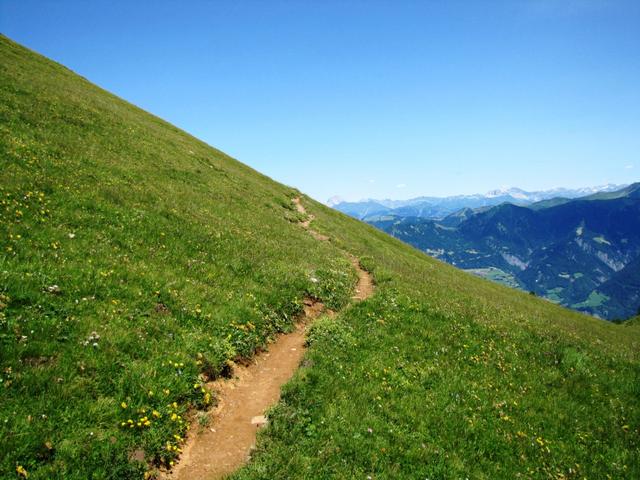 kurz vor der Wolfegg