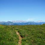 während dem Wandern konnten wir die Schesaplana bestaunen. Dort oben waren wir auch schon