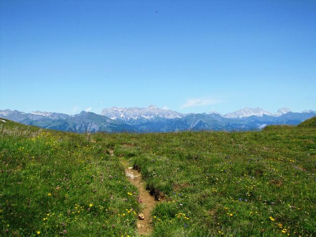 während dem Wandern konnten wir die Schesaplana bestaunen. Dort oben waren wir auch schon