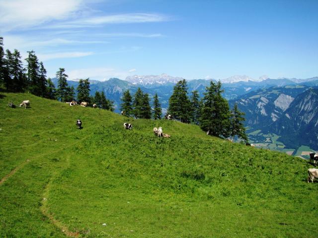 auf der Sonntagweid, kurz vor der Vazer Alp