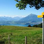 was für eine Aussicht beim Bauernhof auf Endorfallmi 1224 m.ü.M.