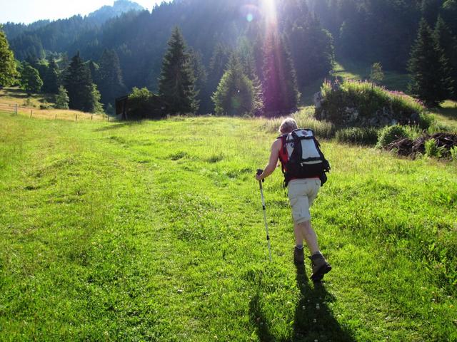 kurz nach Wilerallmi, bei Punkt 1302 m.ü.M. ist fertig mit schlendern. Der Weg führt nun steil aufwärts