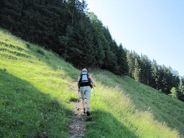 wir tauchen ein in den Howald