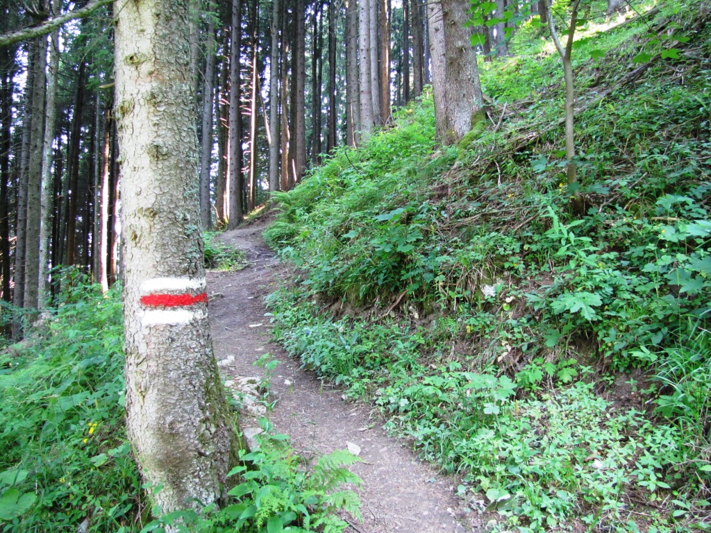 von jetzt an, führt der Weg über unzählige Kehren aufwärts Richtung Spitzi Flue