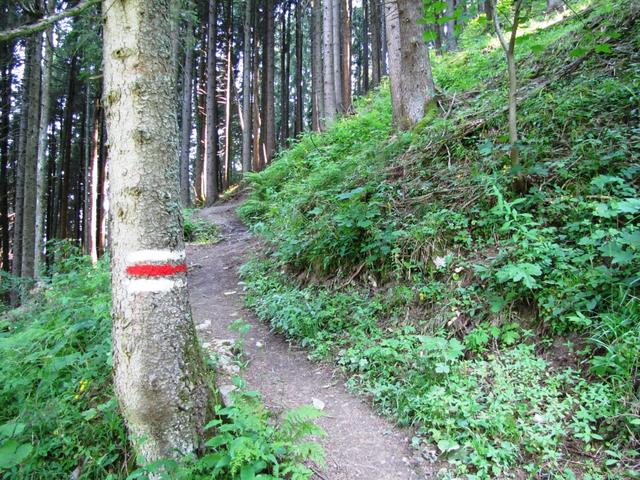 von jetzt an, führt der Weg über unzählige Kehren aufwärts Richtung Spitzi Flue