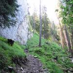 geschickt führt der Bergweg an diesem Felsriegel vorbei