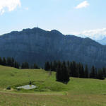schönes Breitbildfoto mit einem bezauberndem Blick auf den weiten Almboden von Unterbergli und die Niederhornkette