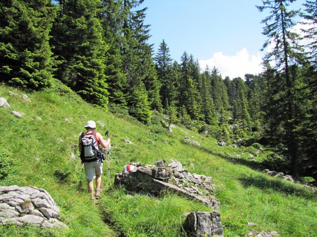 schön jetzt können wir sagen, dies war eine schöne Wanderung