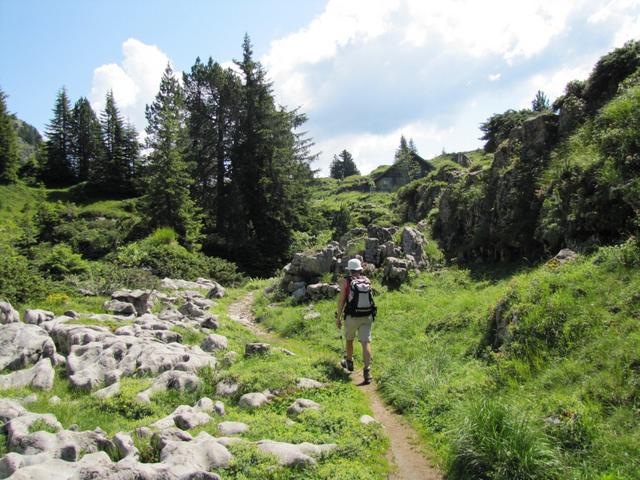 kurz vor Oberbärgli 1818 m.ü.M.