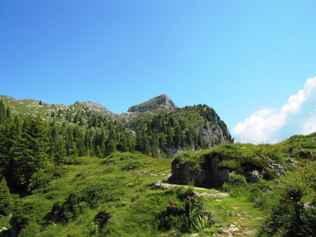 vor uns in voller Grösse der Sigriswiler Rothorn