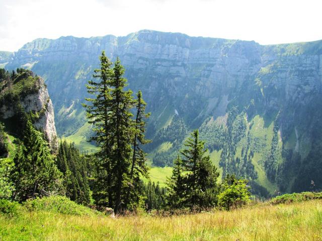 Blick zum Güggisgrat zwischen Niederhorn und Gemmenalphorn. Dort oben waren wir auch schon