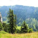 Blick zum Güggisgrat zwischen Niederhorn und Gemmenalphorn. Dort oben waren wir auch schon