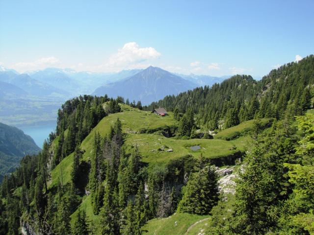 Blick zurück nach Oberbärgli mit der Alphütte