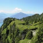 Blick zurück nach Oberbärgli mit der Alphütte