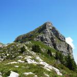 der Sigriswiler Rothorn. Wo führt hier ein Weg hinauf?