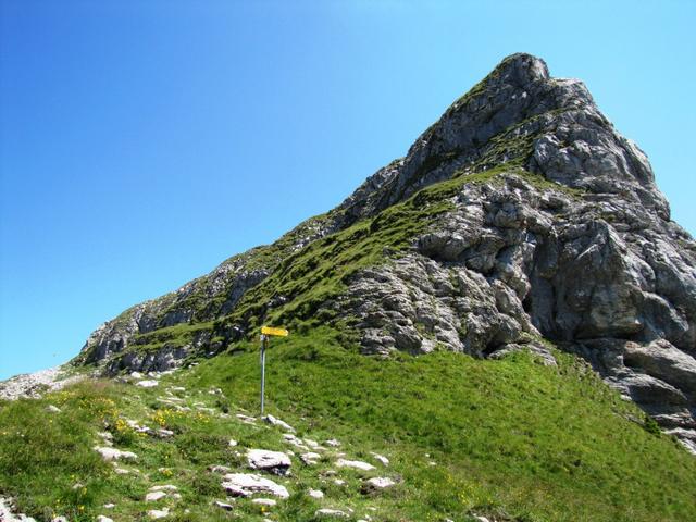 der Weg führt am Nordwestgrat des Sigriswiler Rothorn aufwärts