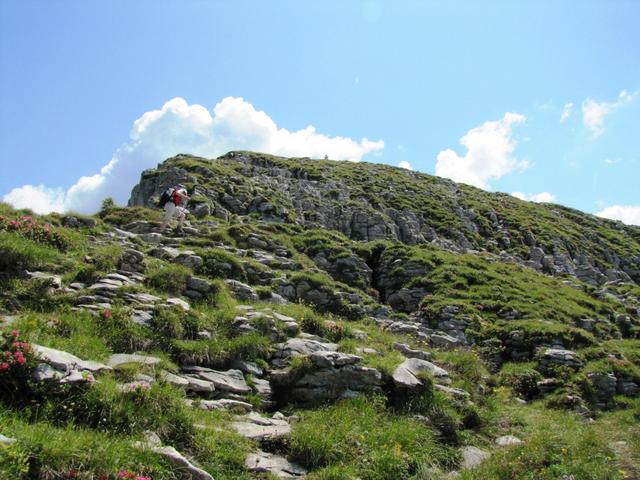 Blick hinauf zum Gipfel vom Sigriswiler Rothorn