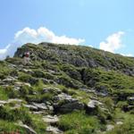 Blick hinauf zum Gipfel vom Sigriswiler Rothorn