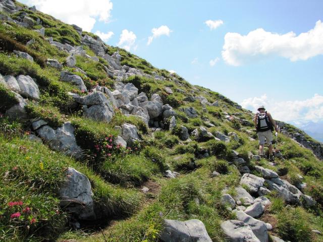 nach der Schlüsselstelle ist der Weg zum  Sigriswiler Rothorn wieder ein einfacher Bergweg